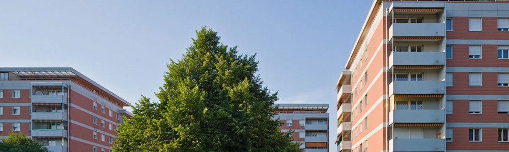 Zuchwil: Amsel-, Drosselweg